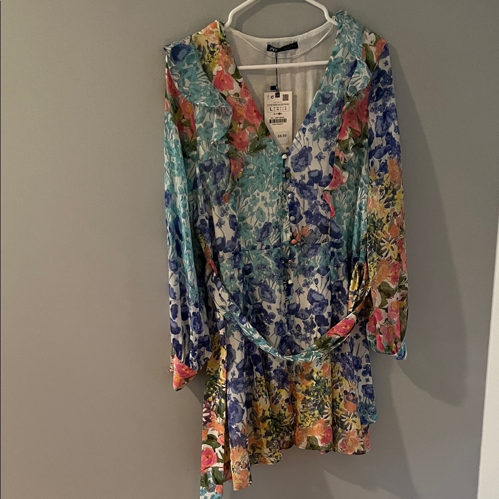 Zara Multicolor Floral Long Sleeve Dress